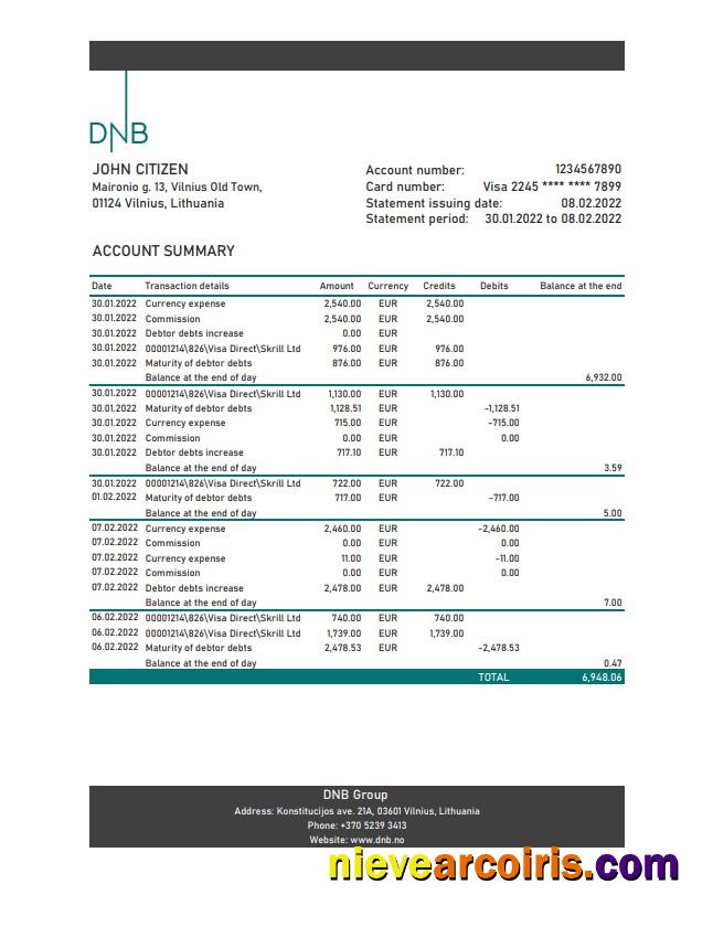Lithuania DNB bank statement